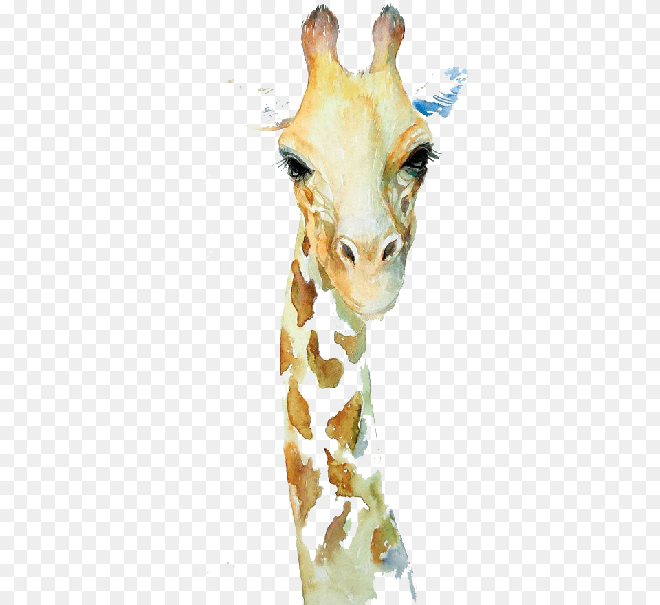 Northern Giraffe Watercolor Painting Art Drawing Aquarelle Girafe, Modern Art, Animal, Dinosaur, Reptile Png Image