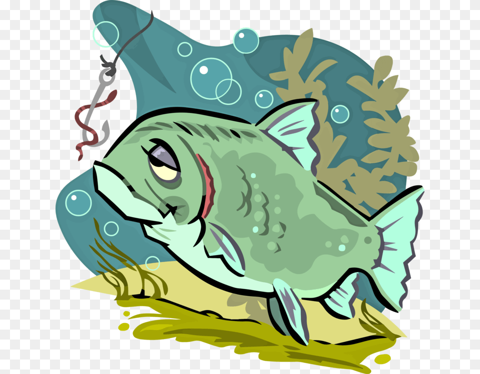 Northern Largemouth Bassbassfish Tired Fish, Animal, Sea Life, Baby, Person Png