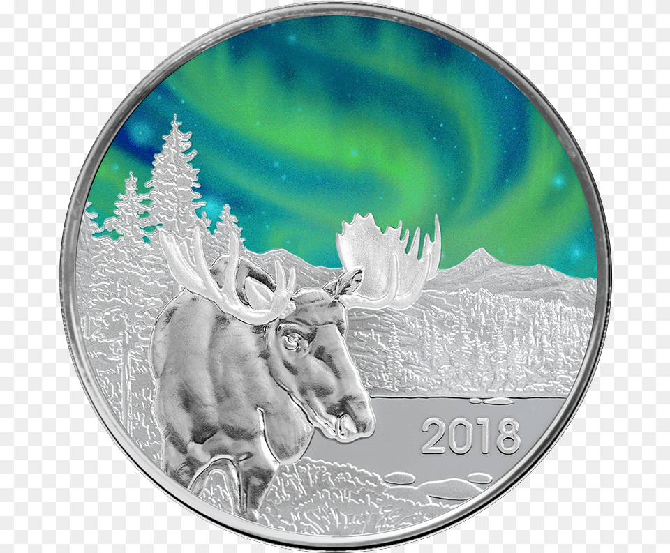 Northern Lights, Silver, Animal, Horse, Mammal Free Transparent Png