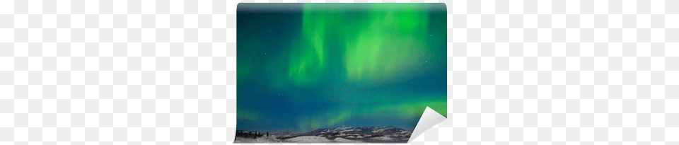 Northern Lights Wall Mural Pixers We Live To Change Aurora, Nature, Night, Outdoors, Sky Free Transparent Png