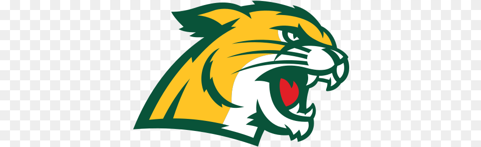 Northern Michigan University Colors Ncaa Us Northern Michigan University Logo, Animal, Bear, Mammal, Wildlife Free Png