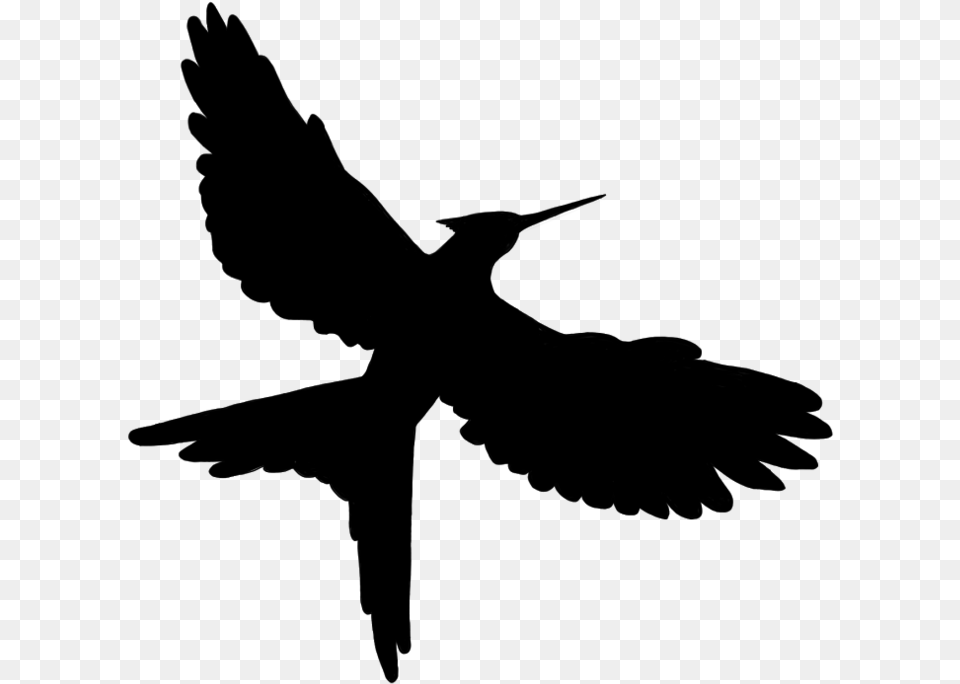 Northern Mockingbird Clip Art Bird 958 Mockingjay, Gray Free Png Download