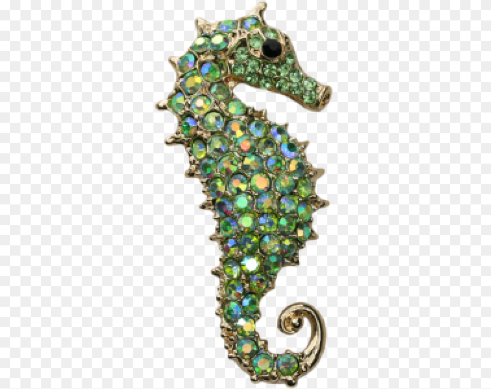 Northern Seahorse, Accessories, Gemstone, Jewelry, Ornament Png