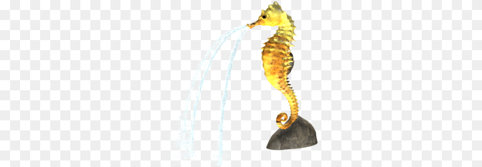 Northern Seahorse, Animal, Sea Life, Mammal Png Image