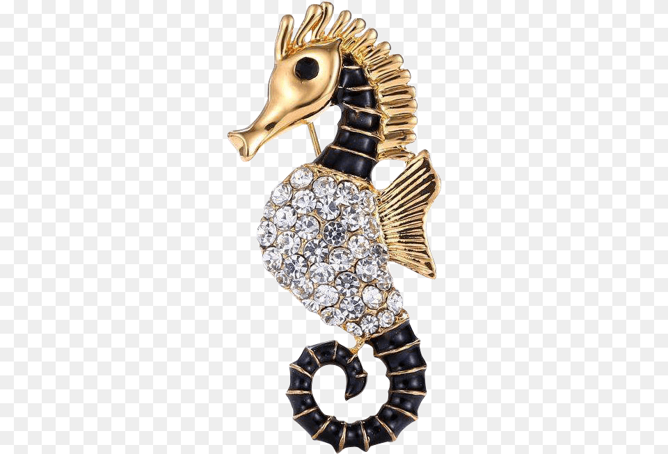 Northern Seahorse, Accessories, Jewelry, Brooch, Animal Free Png