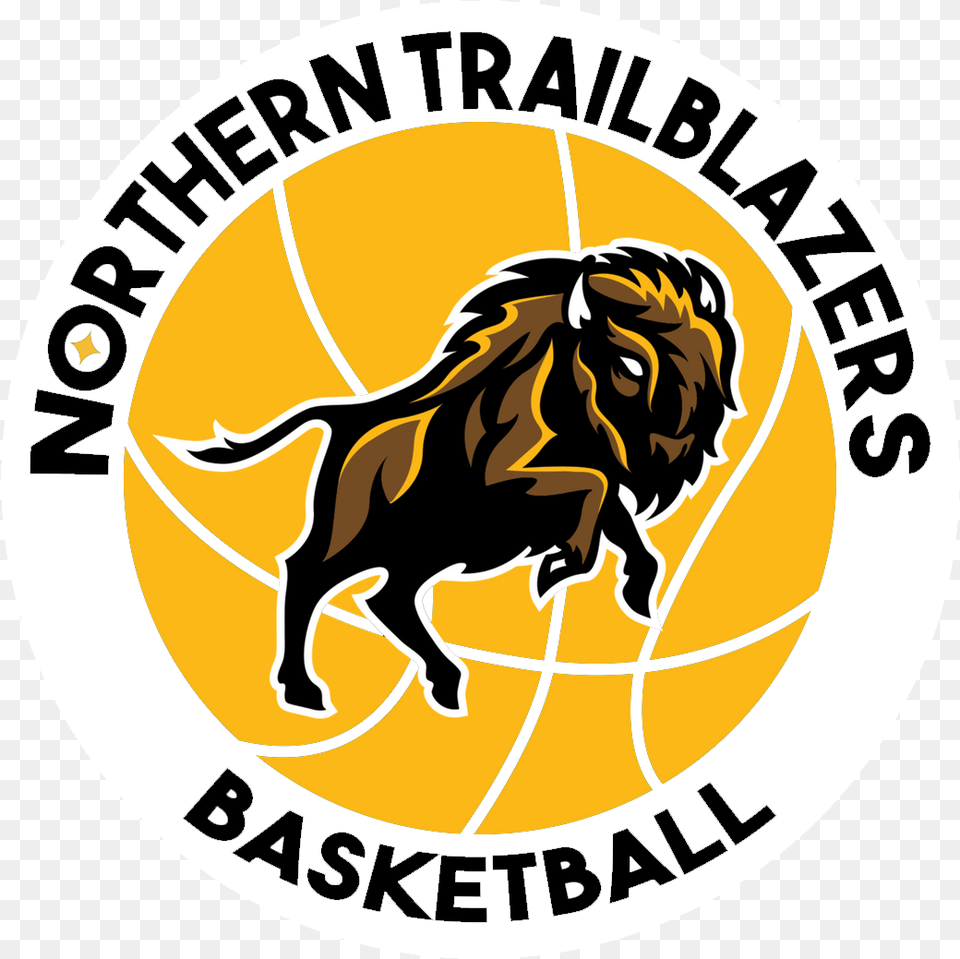 Northern Trailblazers Basketball, Animal, Lion, Mammal, Wildlife Free Png Download