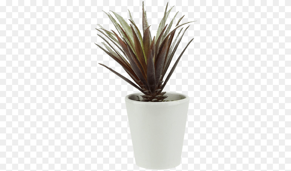 Northlight Artificial Aloe Succulent Desk Top Plant, Potted Plant Free Png
