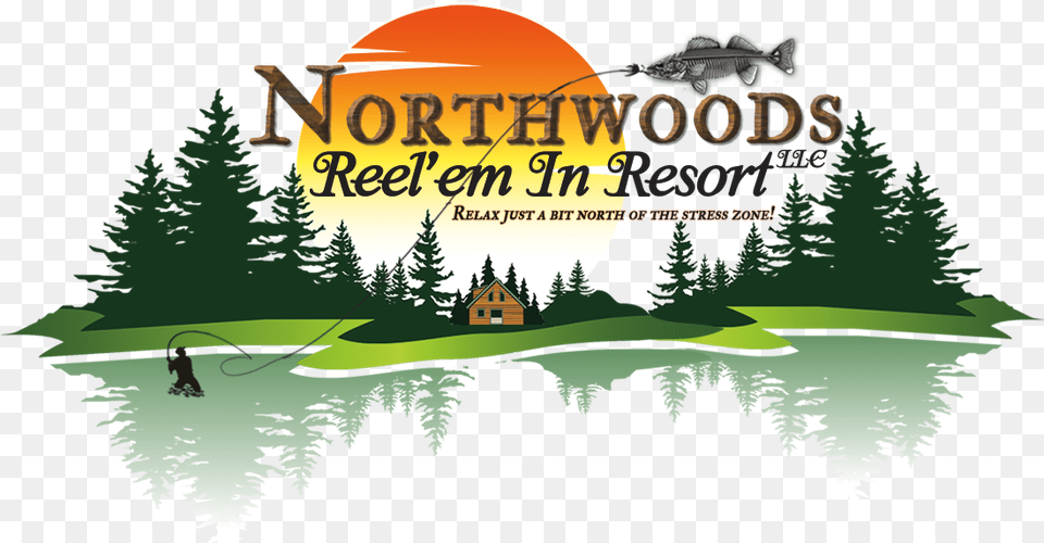 Northwoods Reel39em In Resort Design, Advertisement, Vegetation, Tree, Plant Png Image