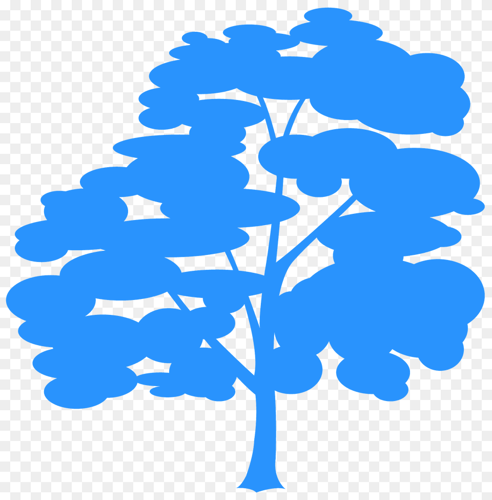 Norway Maple Silhouette, Flower, Plant, Art, Tree Png