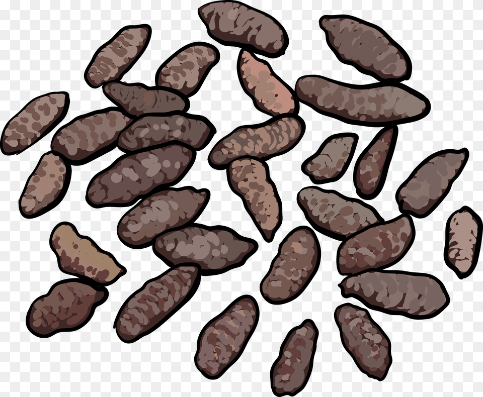 Norway Rat Droppings Pack Rat Droppings, Animal, Reptile, Snake, Face Png Image