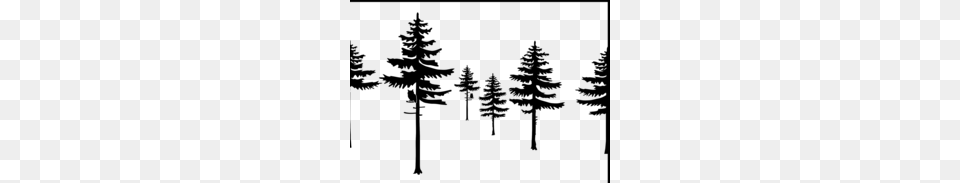 Norway Spruce Clipart, Plant, Tree, Silhouette, Outdoors Free Transparent Png