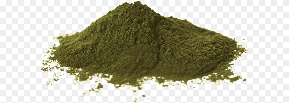 Norwegian Kelp Powder Seaweed, Animal, Bear, Mammal, Wildlife Free Png Download