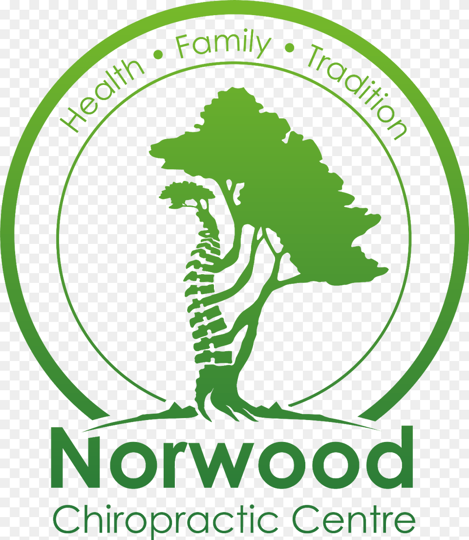 Norwood Chiropractic Healthy Eating, Green, Logo, Person, Advertisement Free Png Download