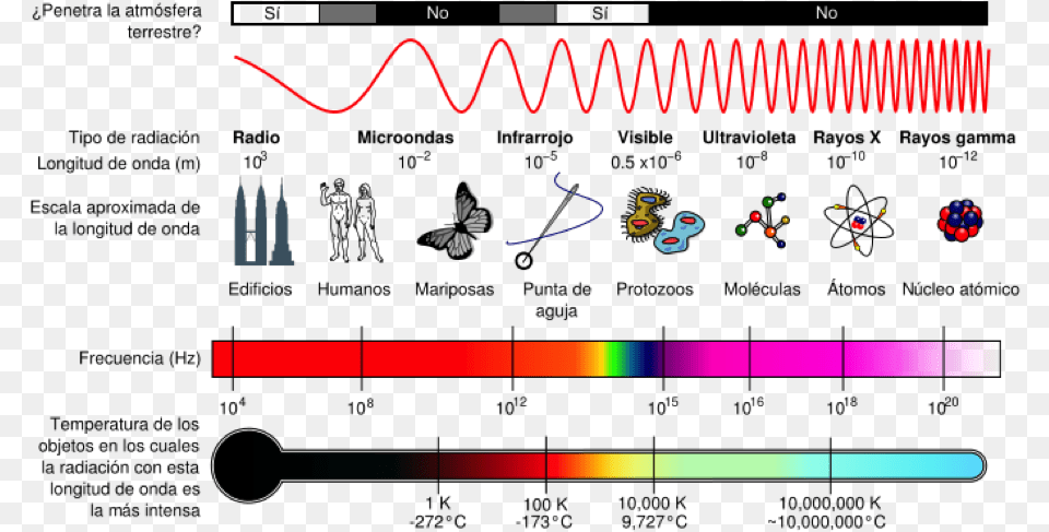 Nos Gusta Leer Tus Comentarios Te Invitamos A Que Electromagnetic Spectrum Sound Waves, Cutlery Png Image