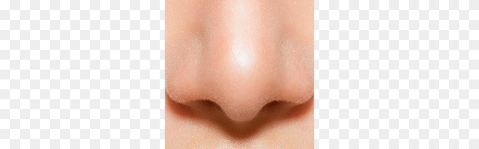 Nose, Baby, Person, Skin, Body Part Png