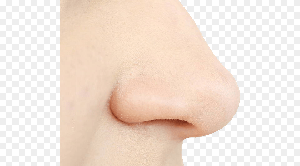 Nose, Person, Skin, Body Part, Face Png Image