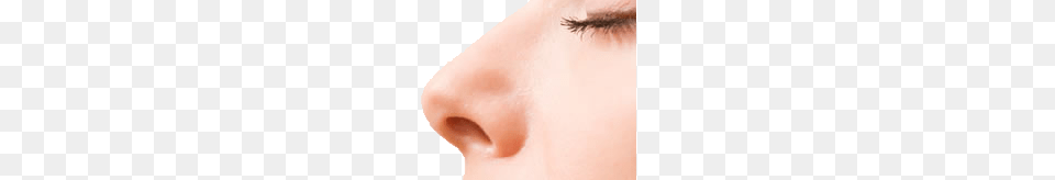Nose, Head, Person, Skin, Face Png Image