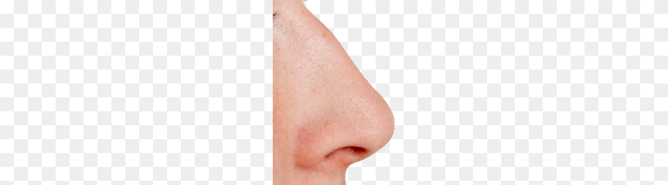 Nose, Face, Head, Person, Skin Free Png