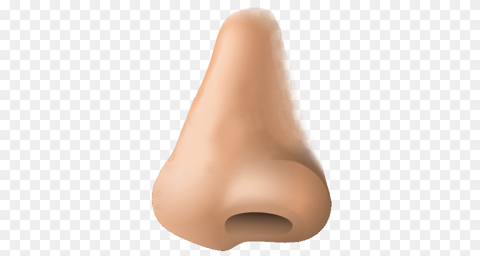 Nose, Snout, Person Free Transparent Png