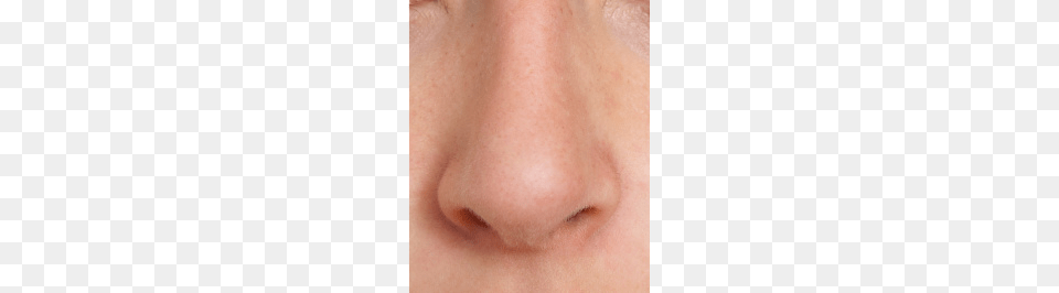 Nose, Person, Skin, Baby, Head Free Png