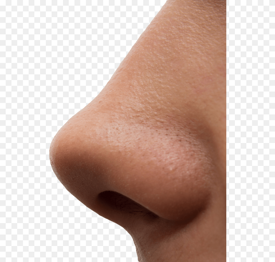 Nose, Person, Skin, Adult, Female Free Png Download