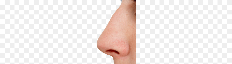 Nose, Face, Head, Person, Skin Free Png