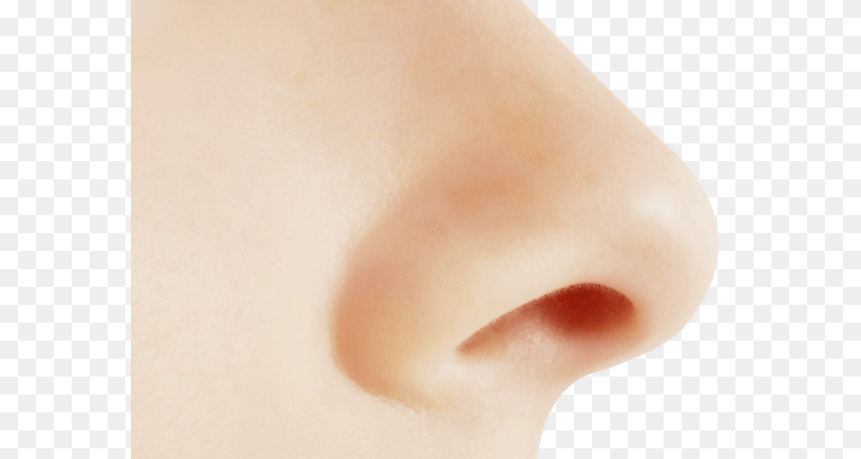 Nose, Person, Skin, Adult, Female Png Image