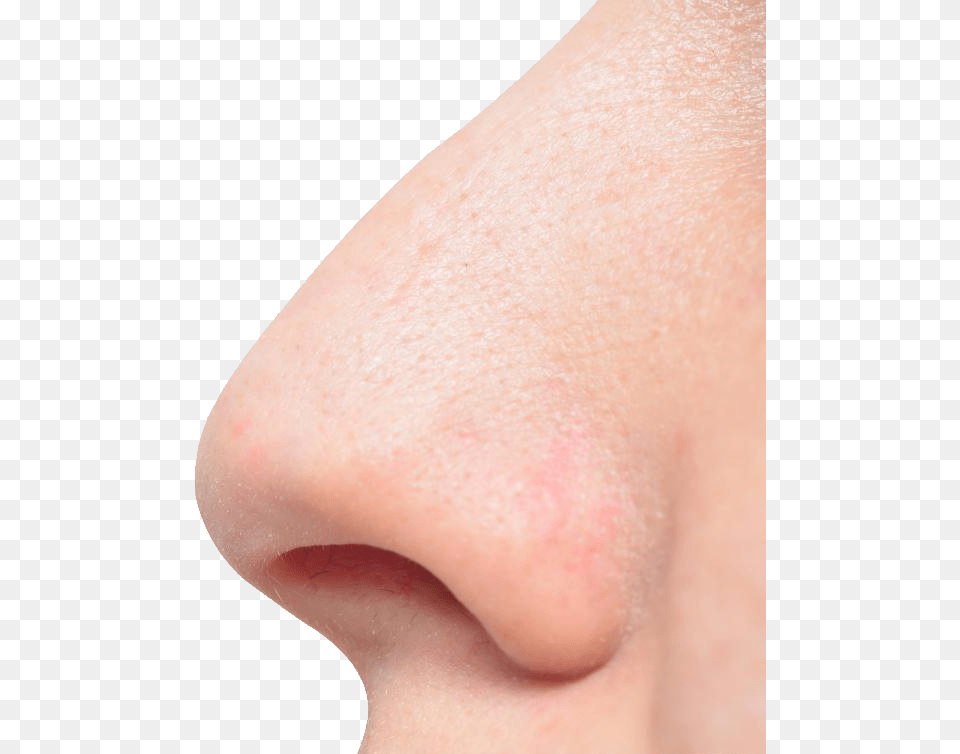 Nose, Body Part, Face, Head, Neck Png Image