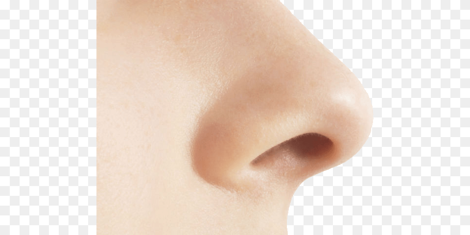 Nose, Person, Skin, Adult, Female Free Transparent Png
