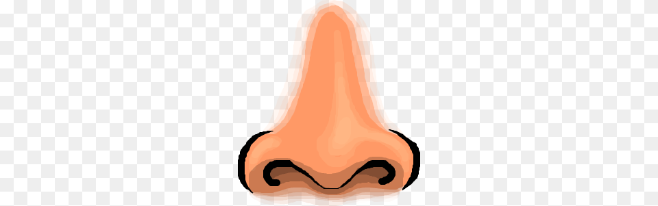 Nose, Snout, Carrot, Vegetable, Food Free Transparent Png