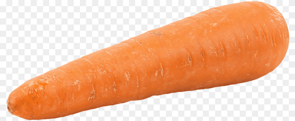 Nose Clipart Carrot Fat Carrot, Food, Plant, Produce, Vegetable Png Image