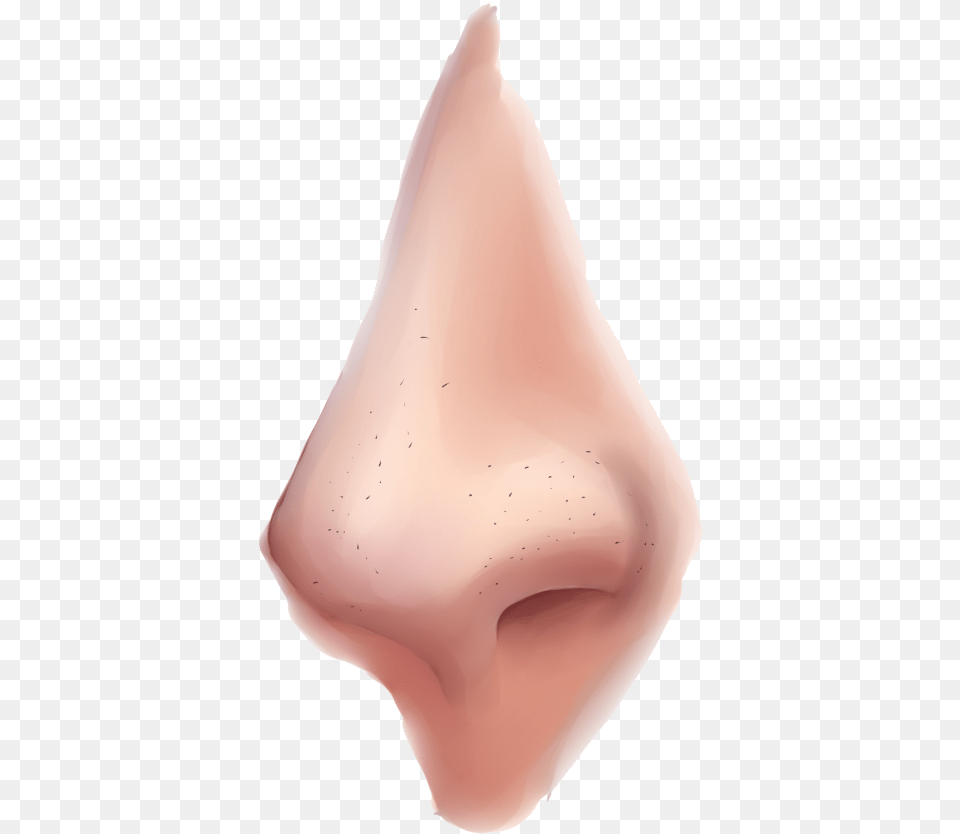 Nose Clipart Semi Realistic Nose Tutorial, Snout, Body Part, Mouth, Person Free Png