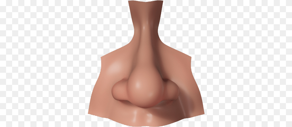 Nose Picture Nose, Body Part, Person, Torso, Face Free Transparent Png