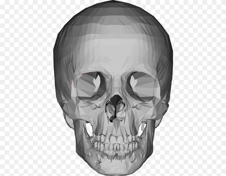 Nose Skull 3d Computer Graphics Head Low Poly 3d Model Skull, Person, Art, Drawing Free Png