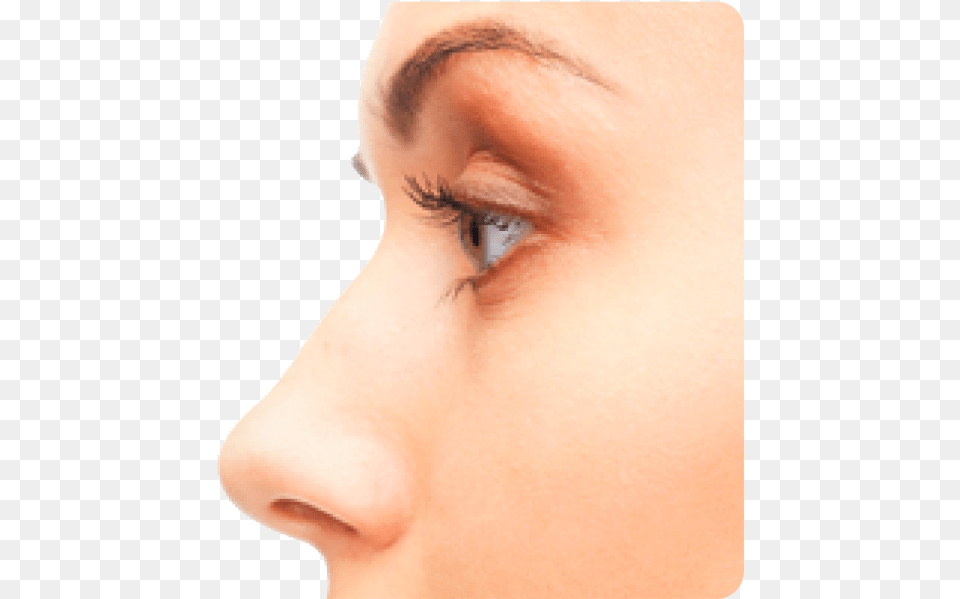 Nose Transparent Nose Images Hd, Adult, Female, Person, Woman Png