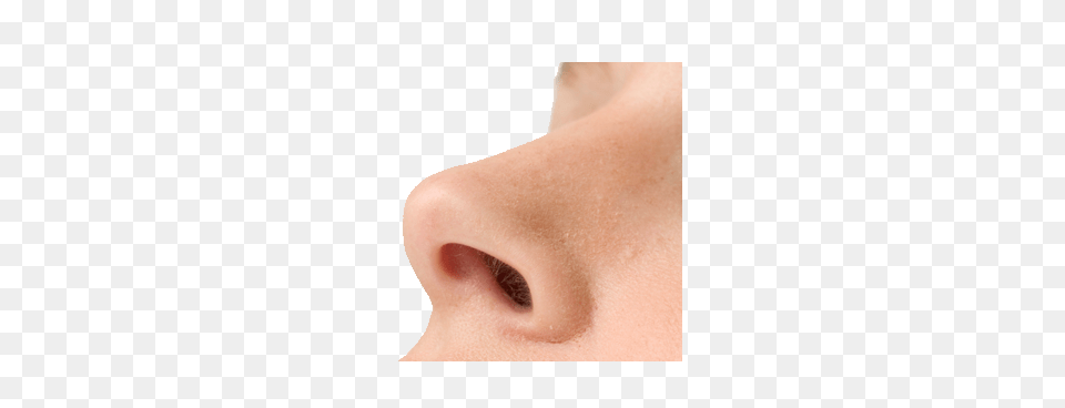 Nose Up, Adult, Female, Person, Woman Free Png