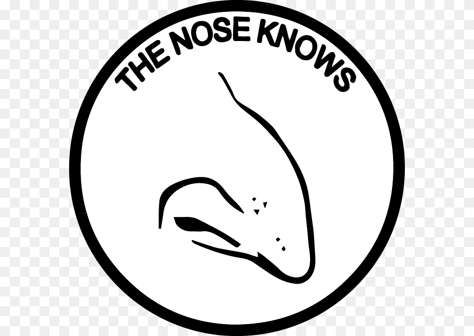 Nosekno White Face Black Black And White Facial Expression Happy Merchant Nose, Animal, Sea Life, Mammal Free Png Download