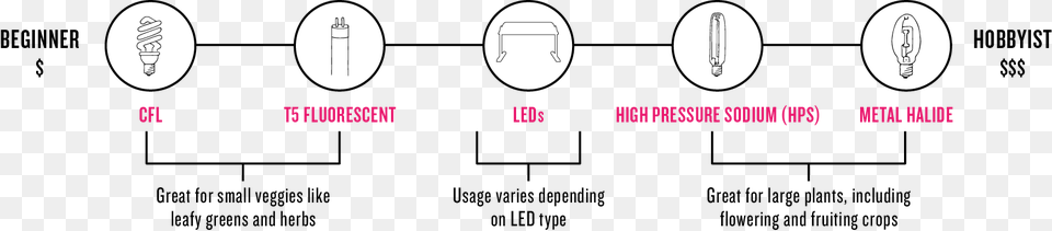 Not All Lights Are Created Equal Circle, Chart, Plot, Face, Head Free Png