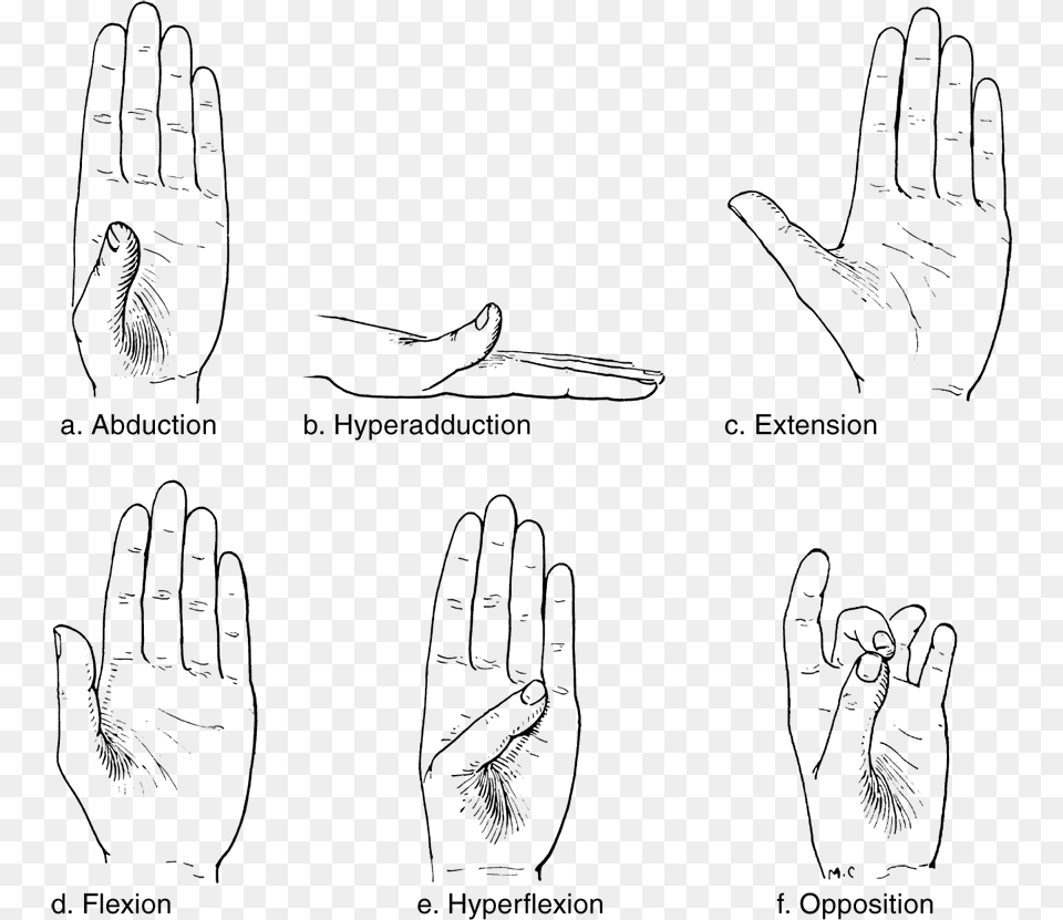 Not Available Movements Of The Hand, Text Png Image