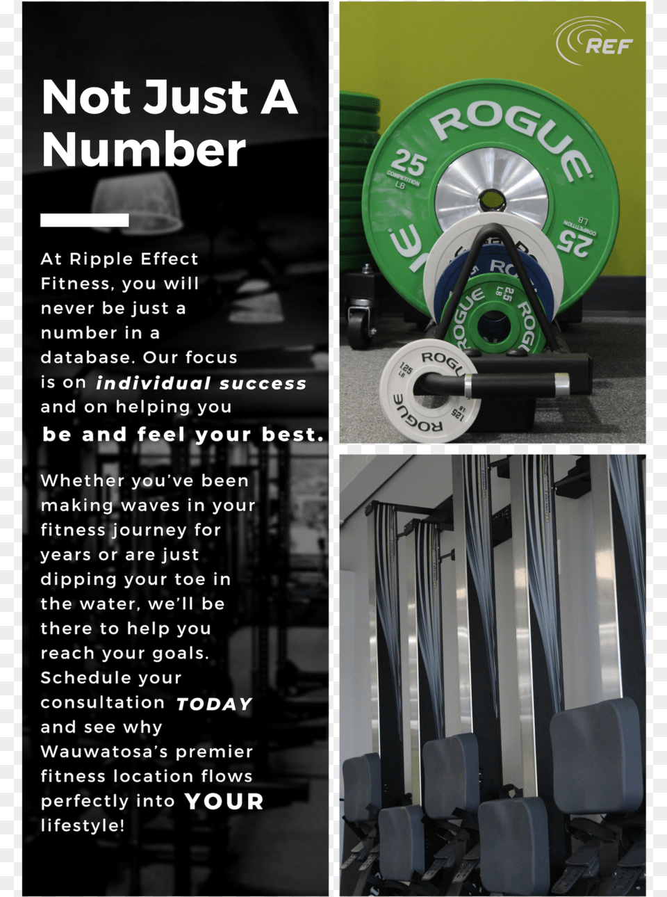 Not Just A Number Flyer, Machine, Wheel, Working Out, Fitness Png