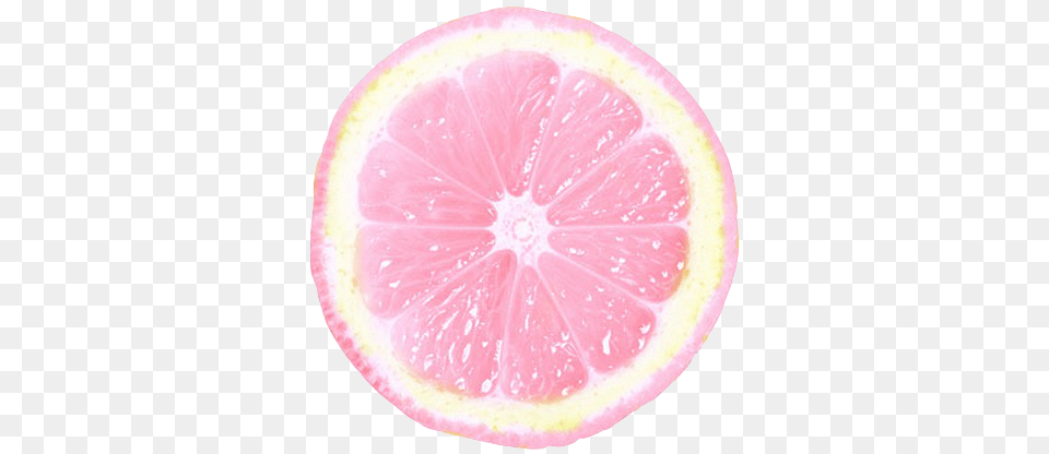 Not My Pic Lemon Slice, Citrus Fruit, Food, Fruit, Grapefruit Free Png