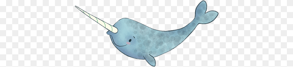 Not Quite Narwhal, Animal, Mammal, Sea Life, Whale Free Png