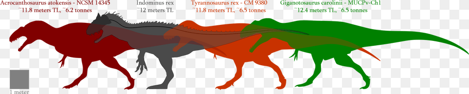 Not Really Larger But More Equal Indominus Rex Giganotosaurus Acrocanthosaurus Tyrannosaurus, Animal, Dinosaur, Reptile, T-rex Free Png Download