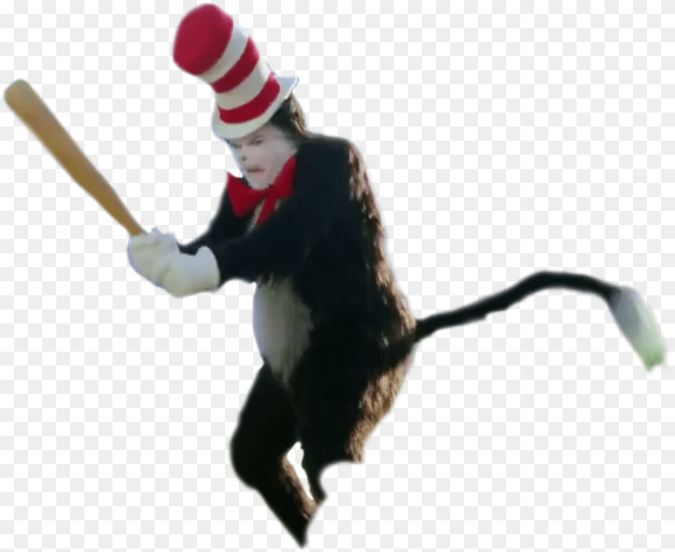 Not Sure If Someone Already Shared This The Cat In The Hat, Outdoors, Nature, Person, Adult Free Png Download