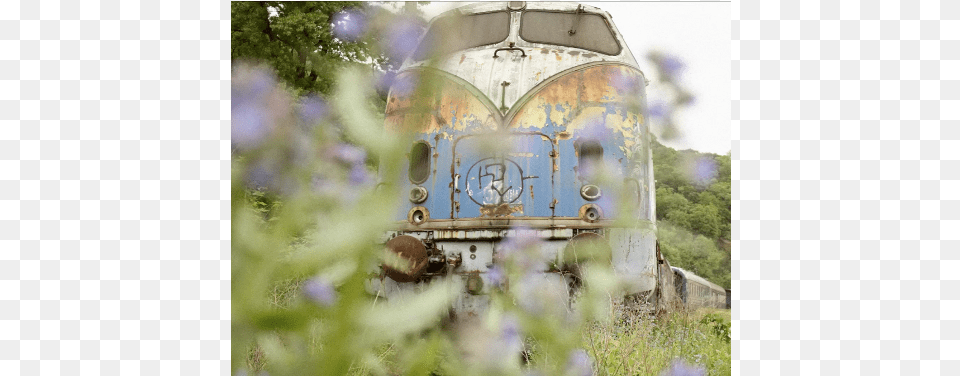 Not Tree, Corrosion, Rust, Railway, Train Free Transparent Png