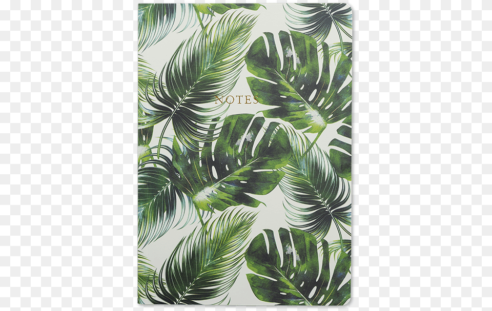 Notebook Tropical Leaf Print, Vegetation, Plant, Tree, Rainforest Free Png