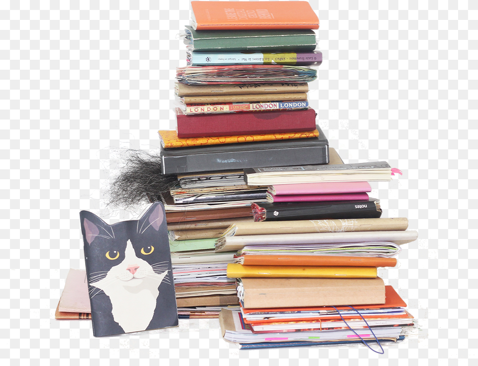 Notebooks Notebook, Book, Publication, Animal, Cat Free Transparent Png