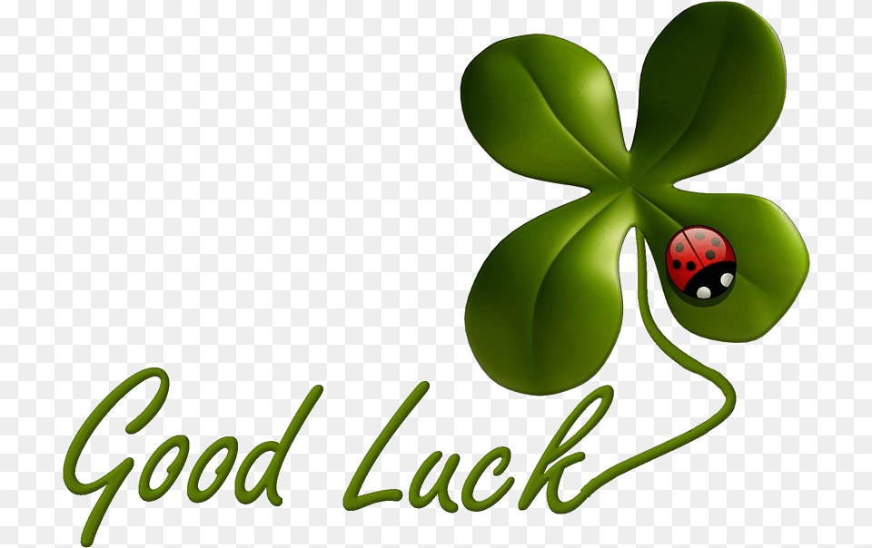 Nothing But Good Luck Good Luck Exam Clipart, Green, Leaf, Plant Free Transparent Png