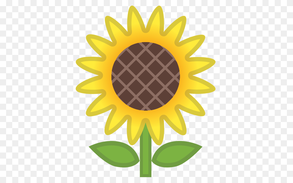 Noto Emoji Oreo, Flower, Plant, Sunflower Png