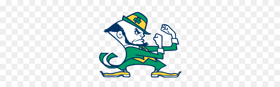 Notre Dame Fighting Irish Fathead Wall Decals More Shop, Art, Baby, Person, Face Png